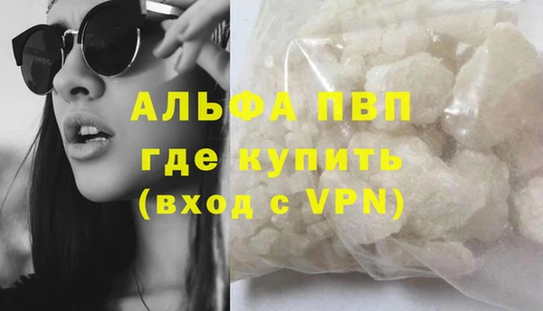 индика Белокуриха