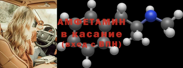 индика Белокуриха