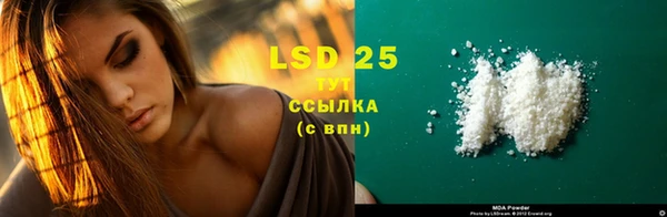 индика Белокуриха