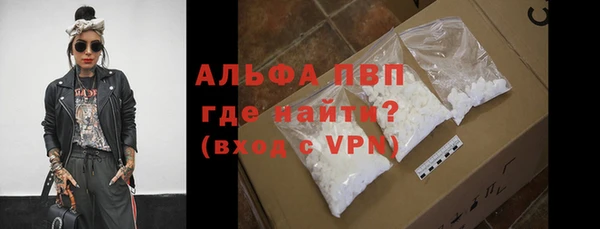 индика Белокуриха