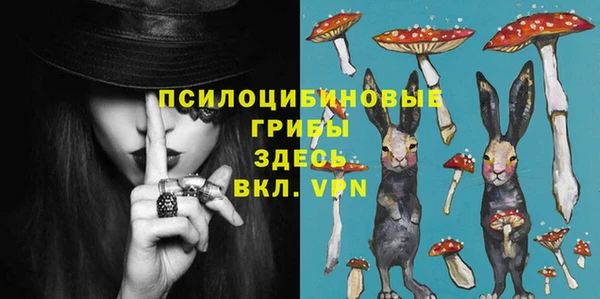 индика Белокуриха